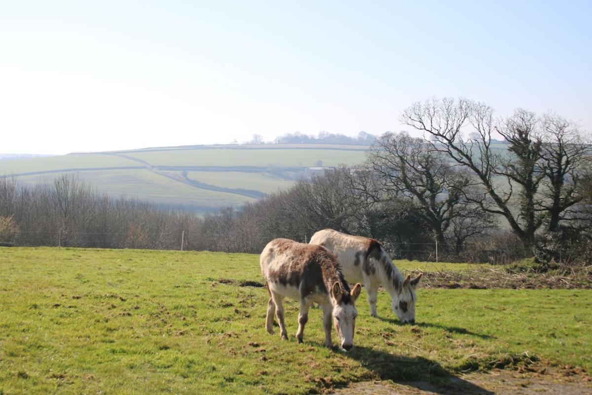 Award Winning Lower Whitsleigh Farm Cottage Roborough Exterior foto